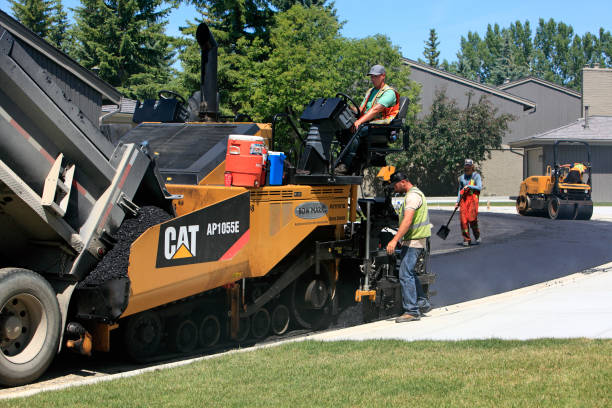 Best Driveway Paving Company  in Taft, TX